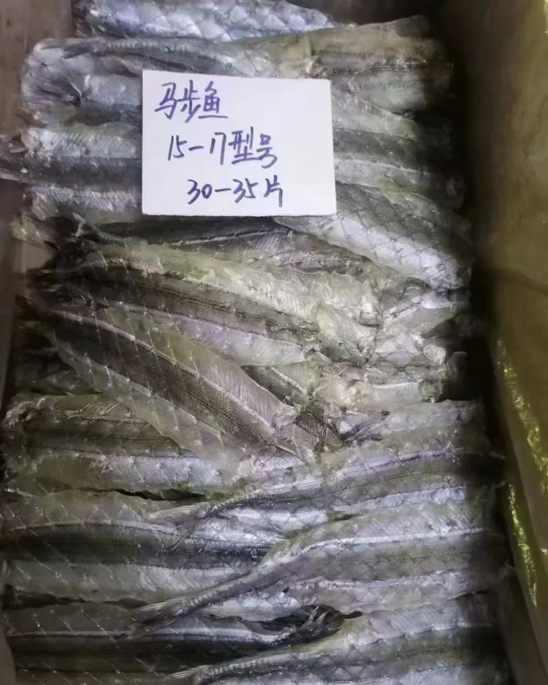 马步鱼一手货源大量现货量大从优