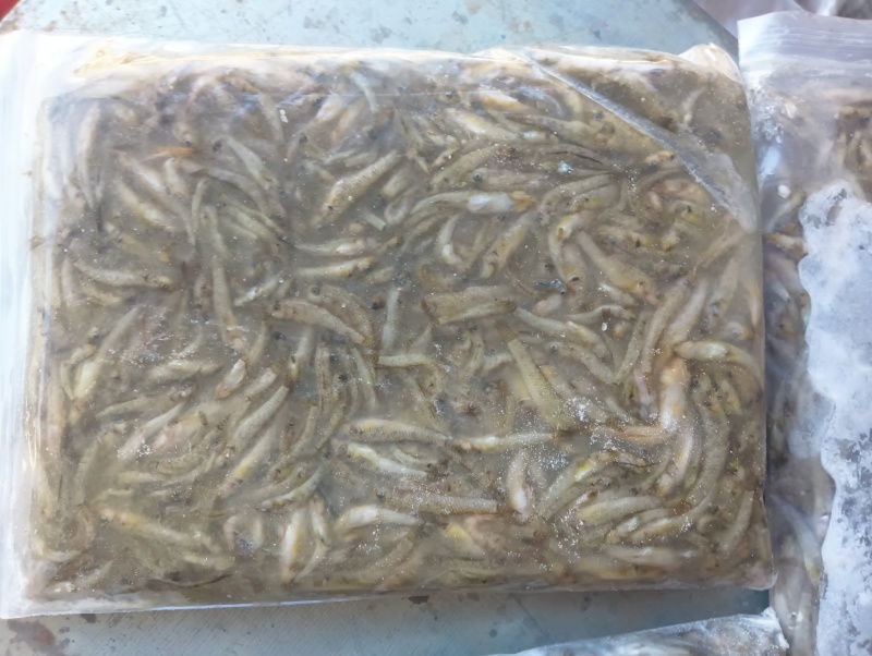淡水产品