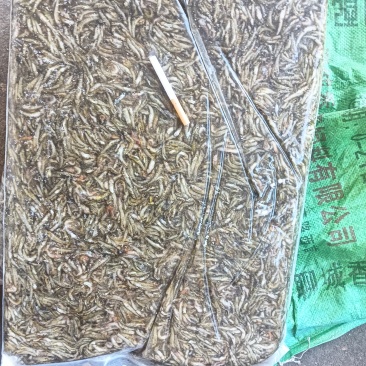 淡水产品