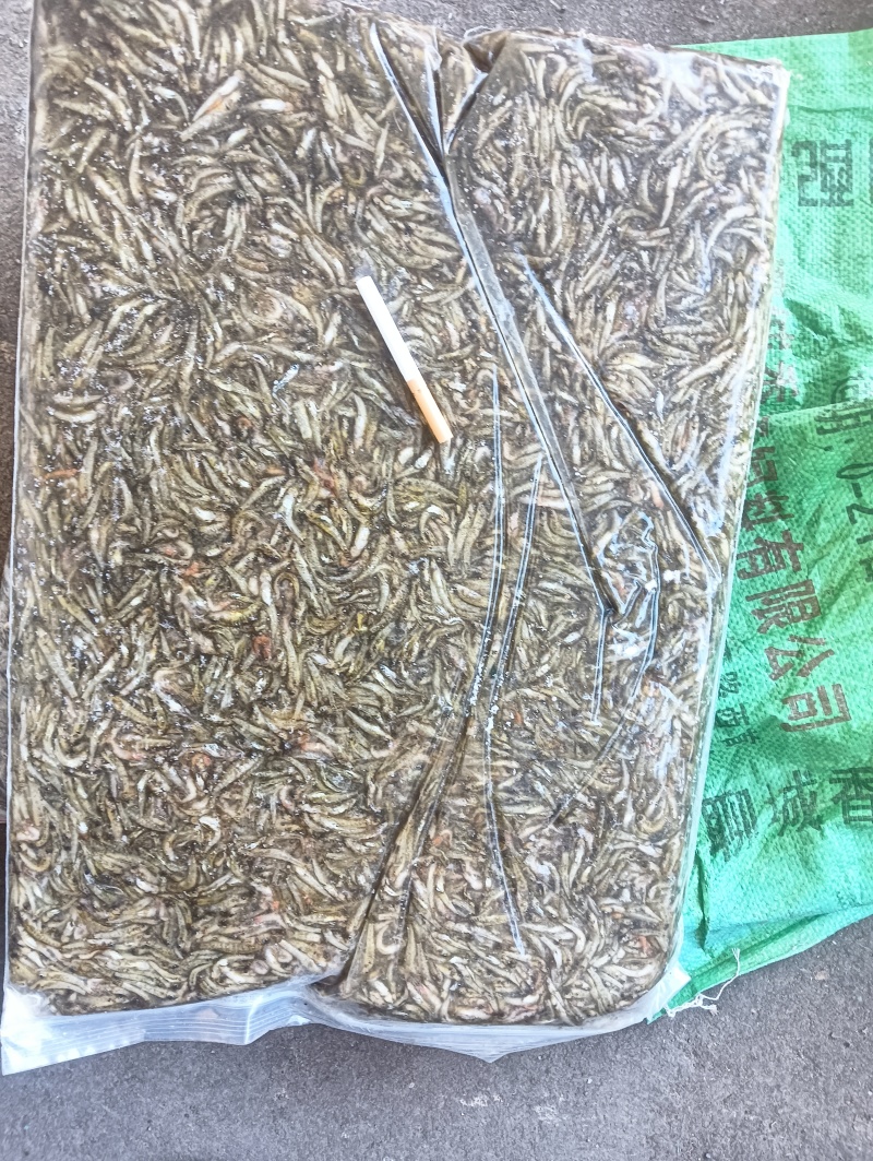 淡水产品