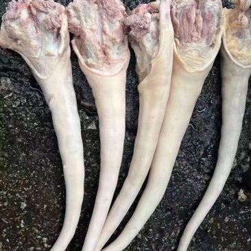 现货带皮牛尾巴