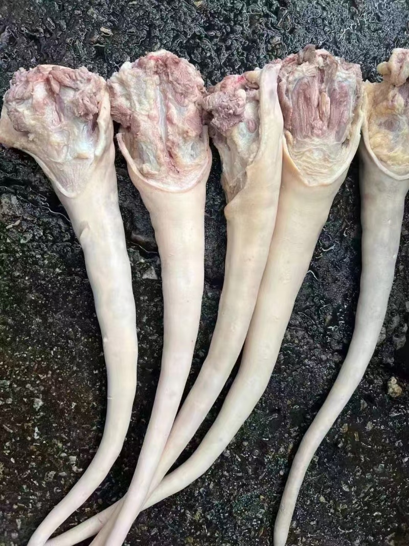 现货带皮牛尾巴