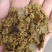 棉籽饼有机肥适合所有的瓜果蔬菜花卉绿植大蒜生姜