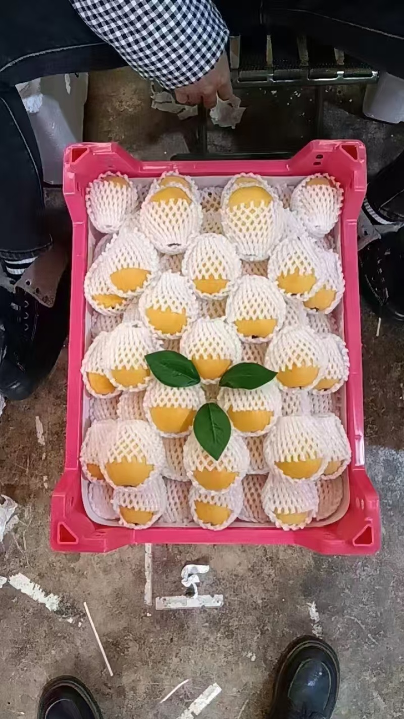 枇杷产地，你要什么货我有什么货