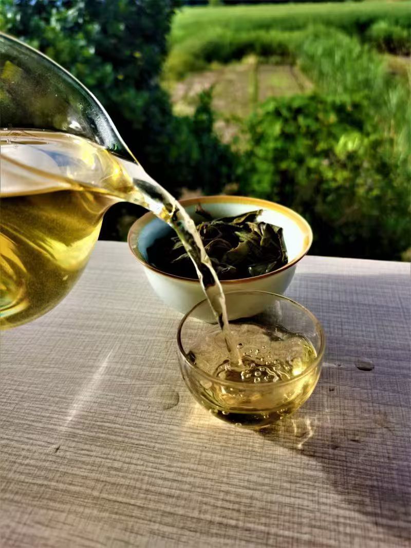 普洱散生，2019年易武正山老树茶