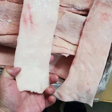 猪皮腾惠更多客户的选择全国接单中……