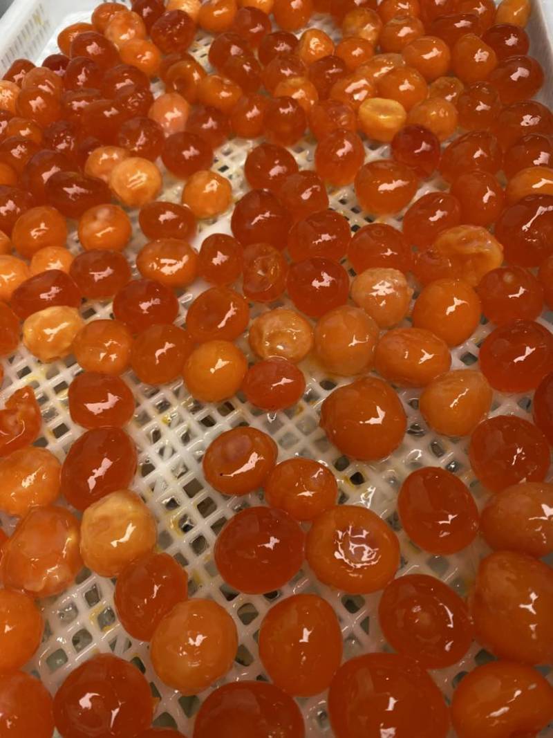 咸鸭蛋黄，广西红树林海鸭咸蛋黄，烘培糕点馅料