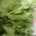 新鲜现摘白菜苔