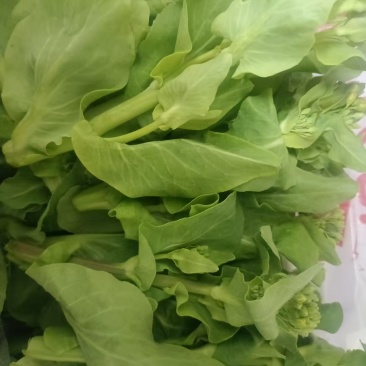 菜