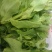 菜