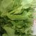 菜