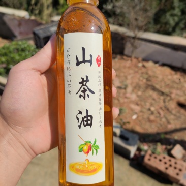 冷榨山茶油，家里的老人在山上摘的山茶籽，纯物理