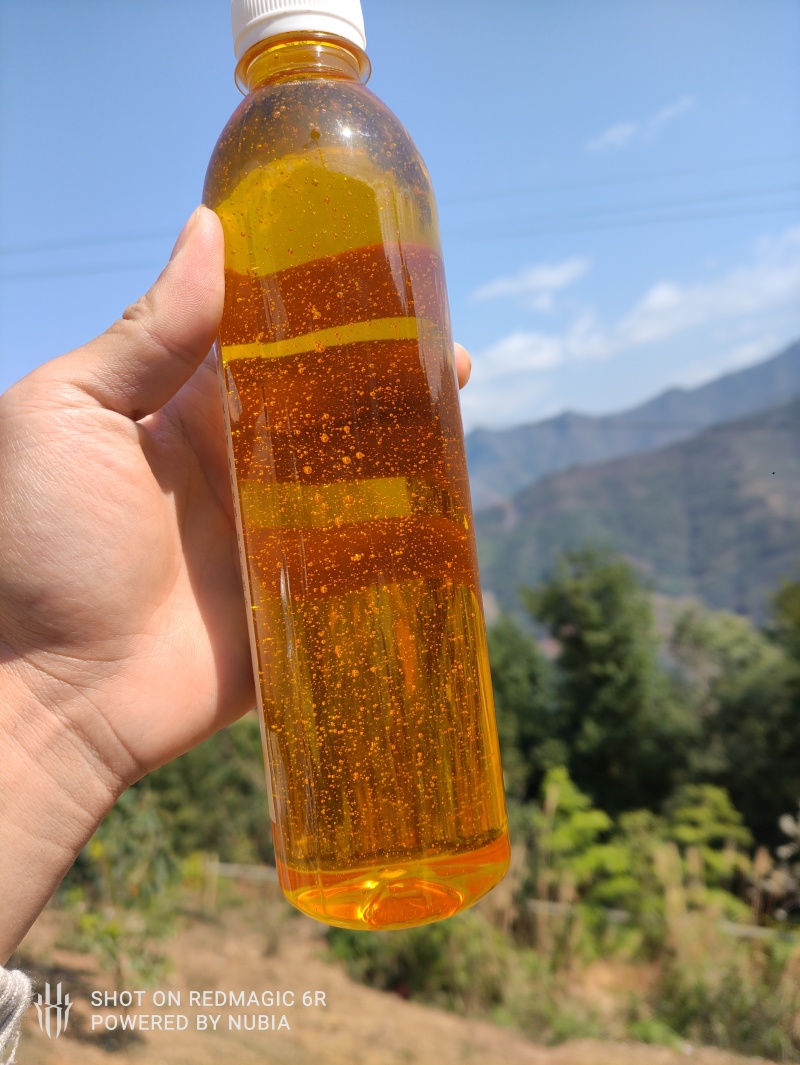 冷榨山茶油，家里的老人在山上摘的山茶籽，纯物理