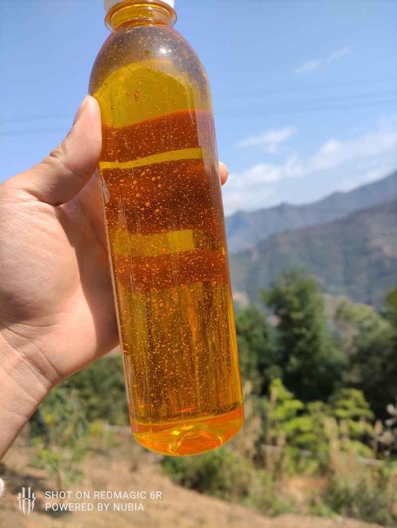 冷榨山茶油，家里的老人在山上摘的山茶籽，纯物理