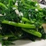 板蓝根青菜/板小青，一款火爆全网的菜品，大卖！