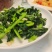 板蓝根青菜/板小青，一款火爆全网的菜品，大卖！