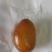 鸡宝