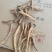 防风