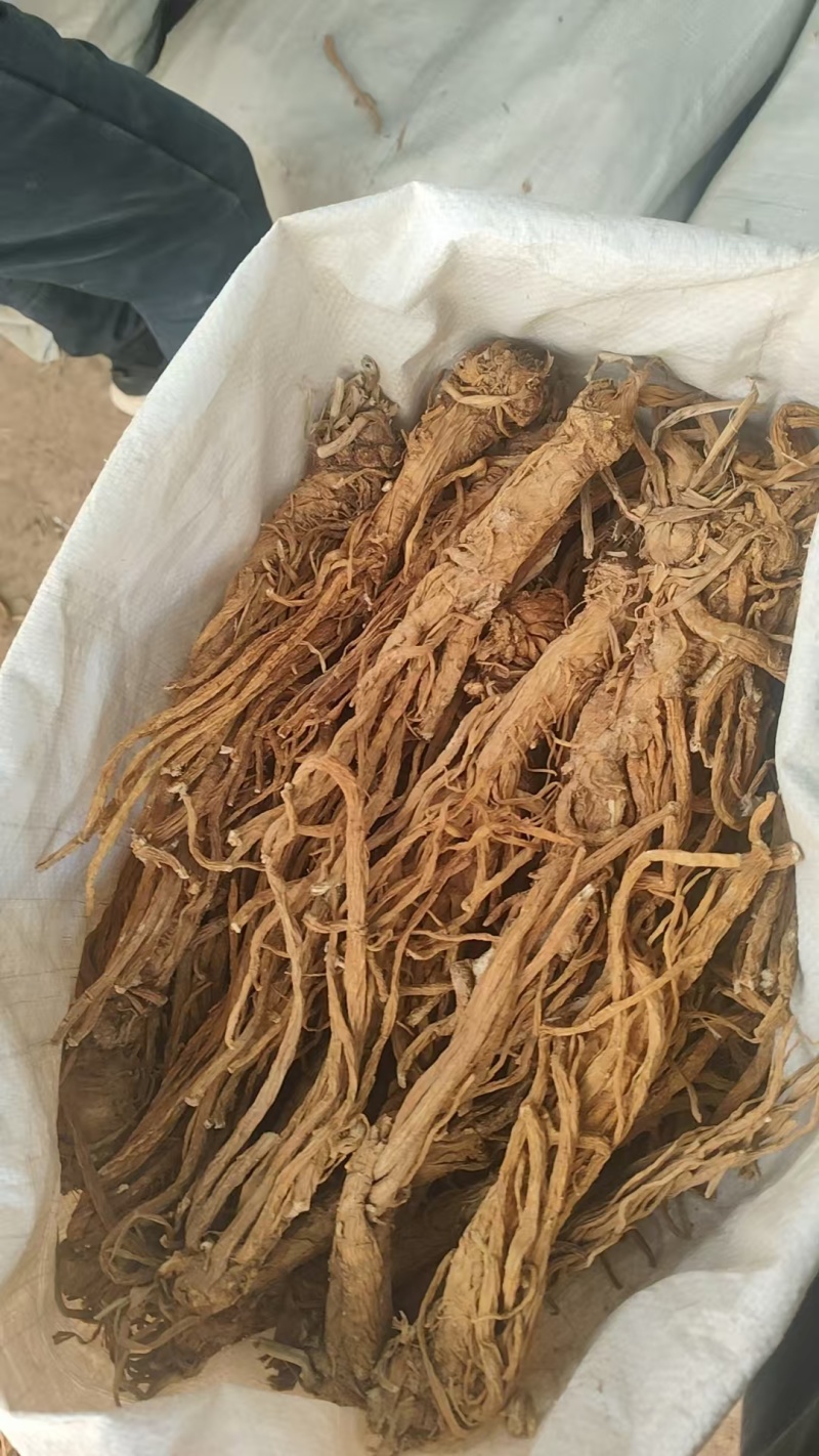 独活