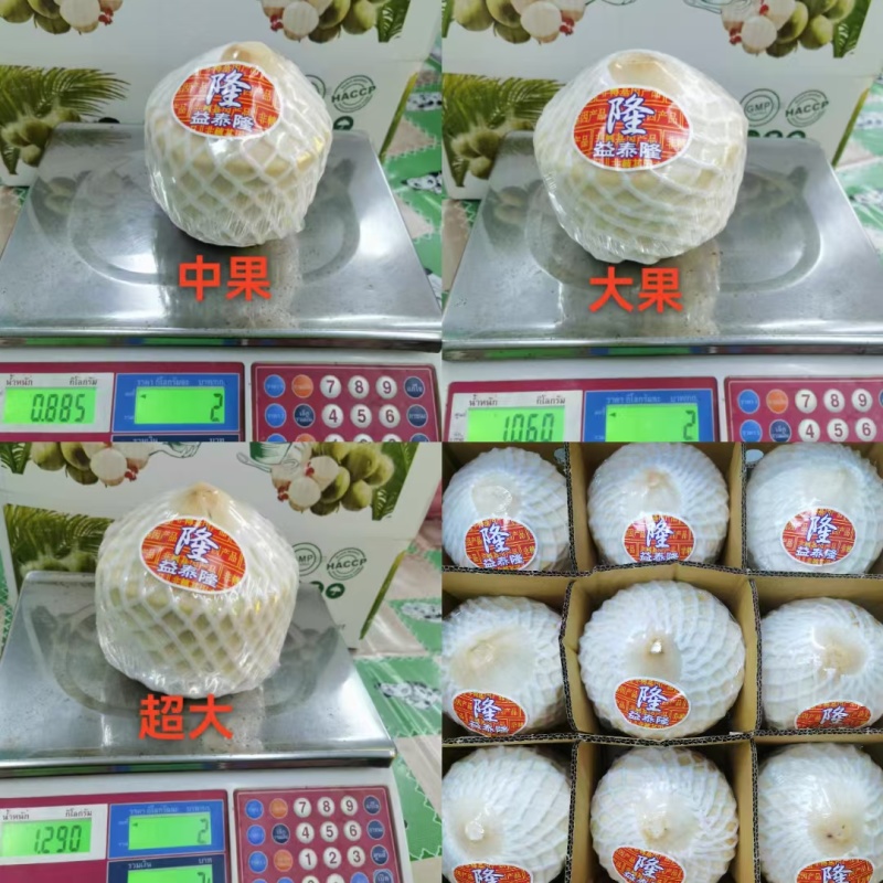 香水椰子vx***********供应链