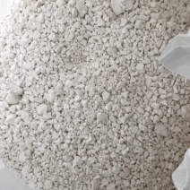 红著淀粉