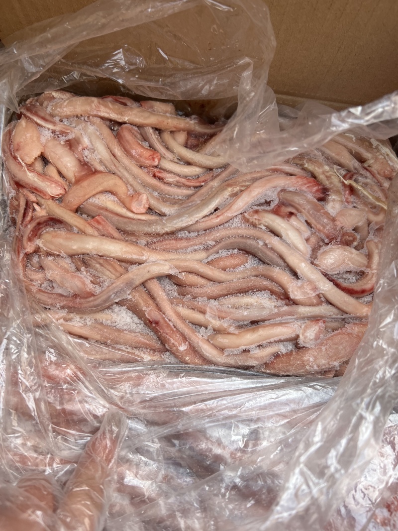精修猪鞭纯干货，一件300条