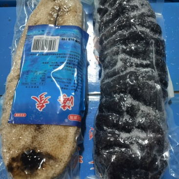 象牙参