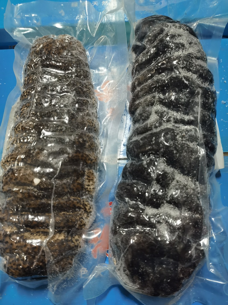 象牙参