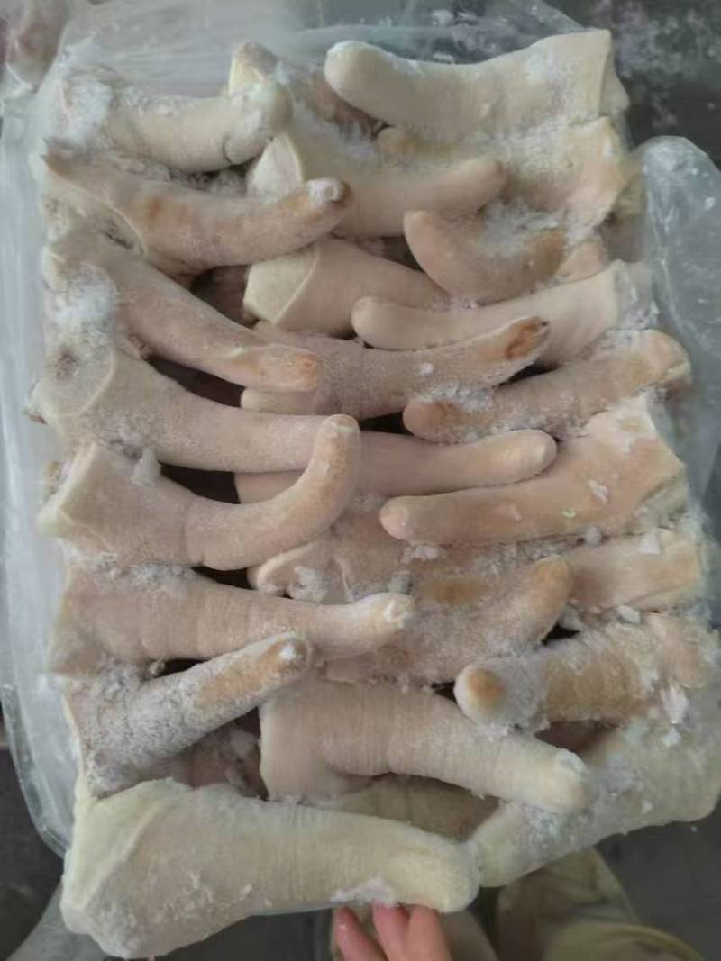 国产肥猪尾骨，粗的细的都有，干净无毛，一件20斤