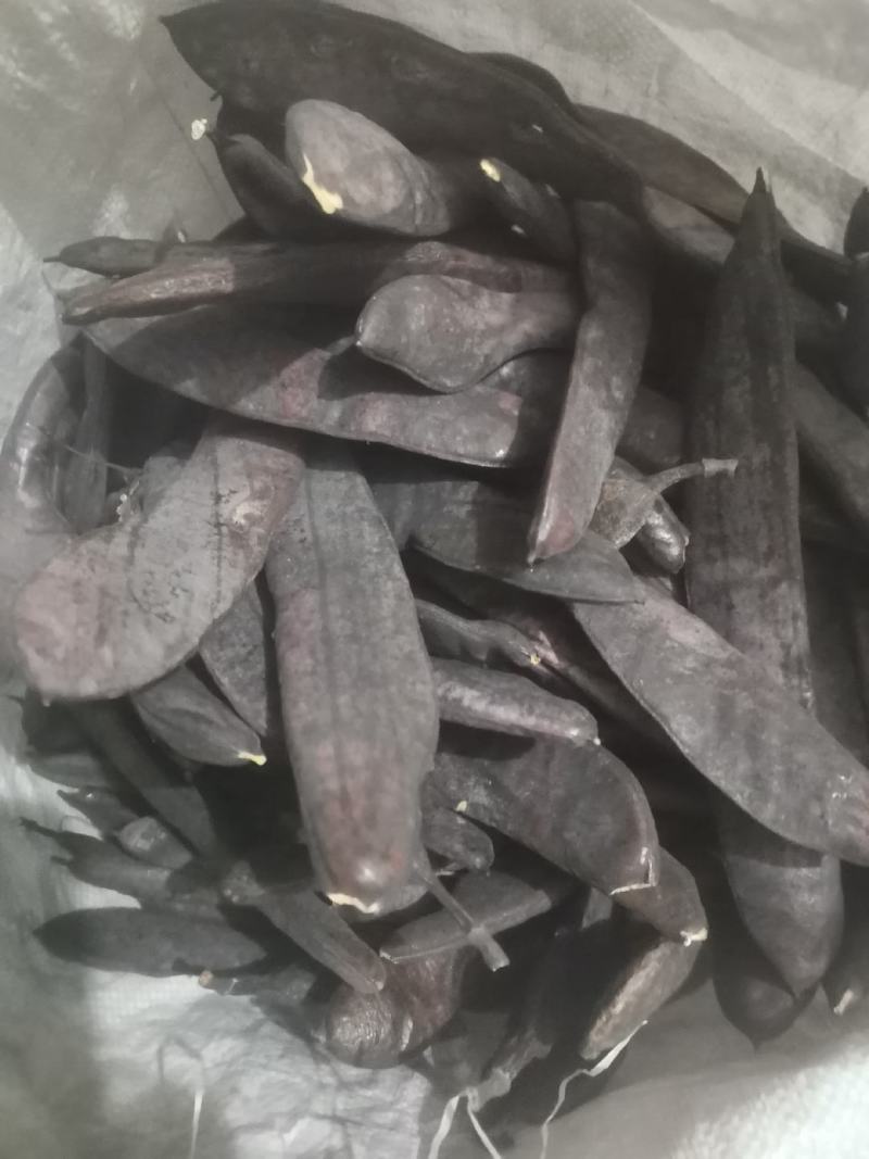 皂角