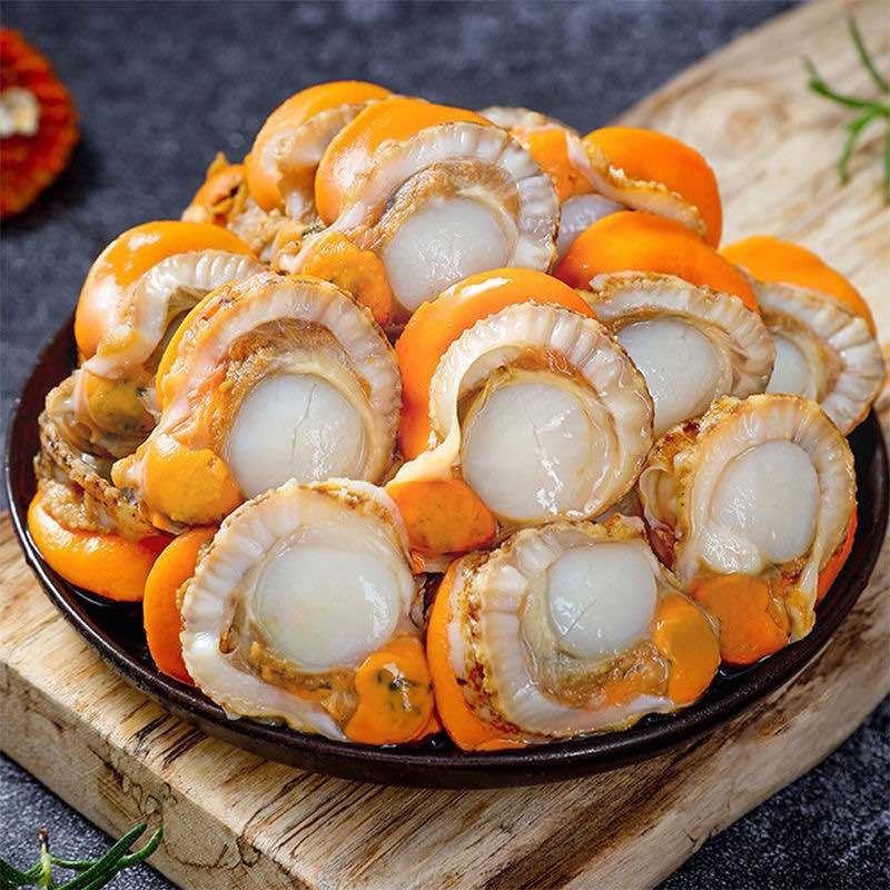 扇贝肉干冰、包冰各种规格都有