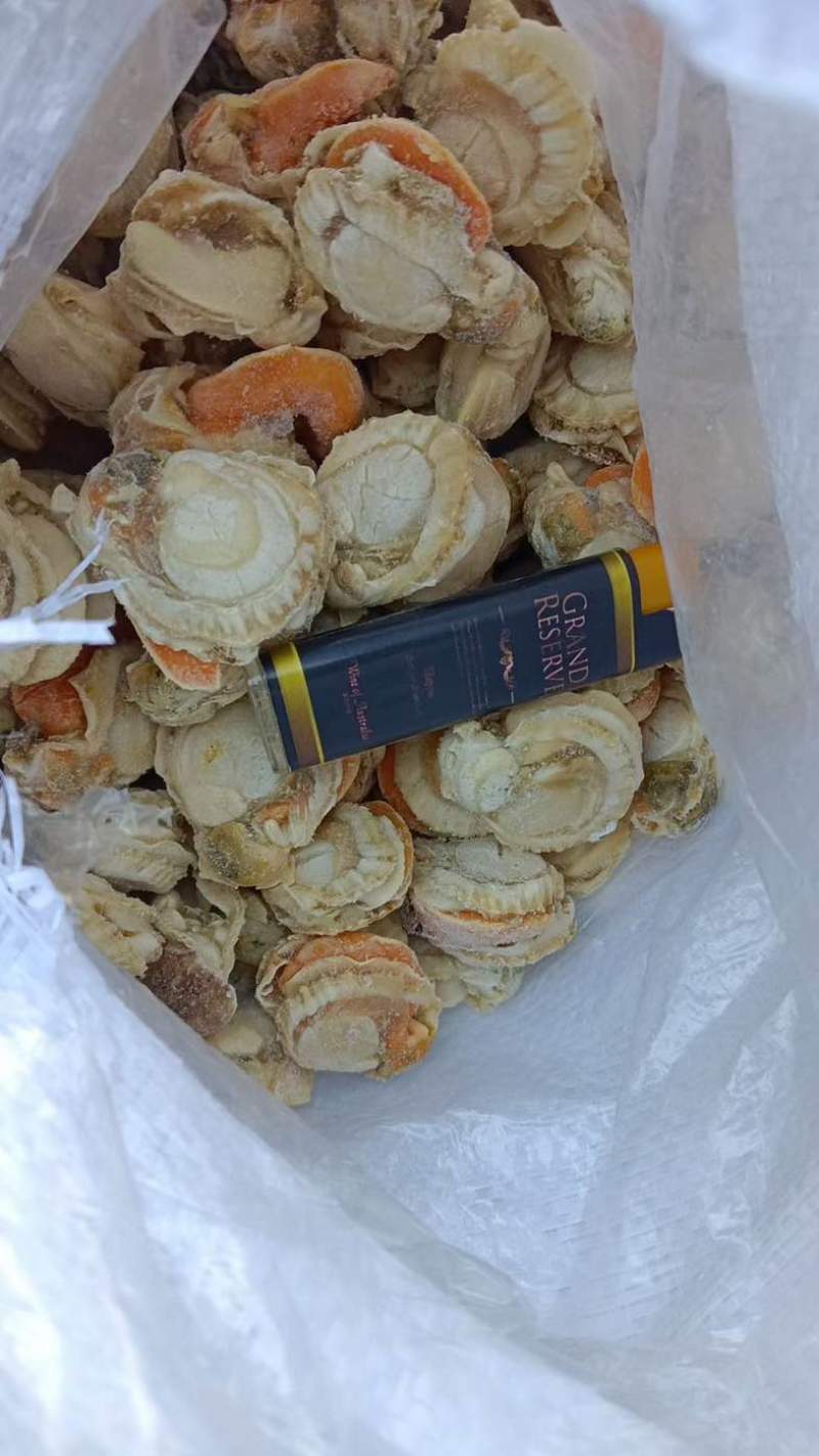 扇贝肉干冰、包冰各种规格都有