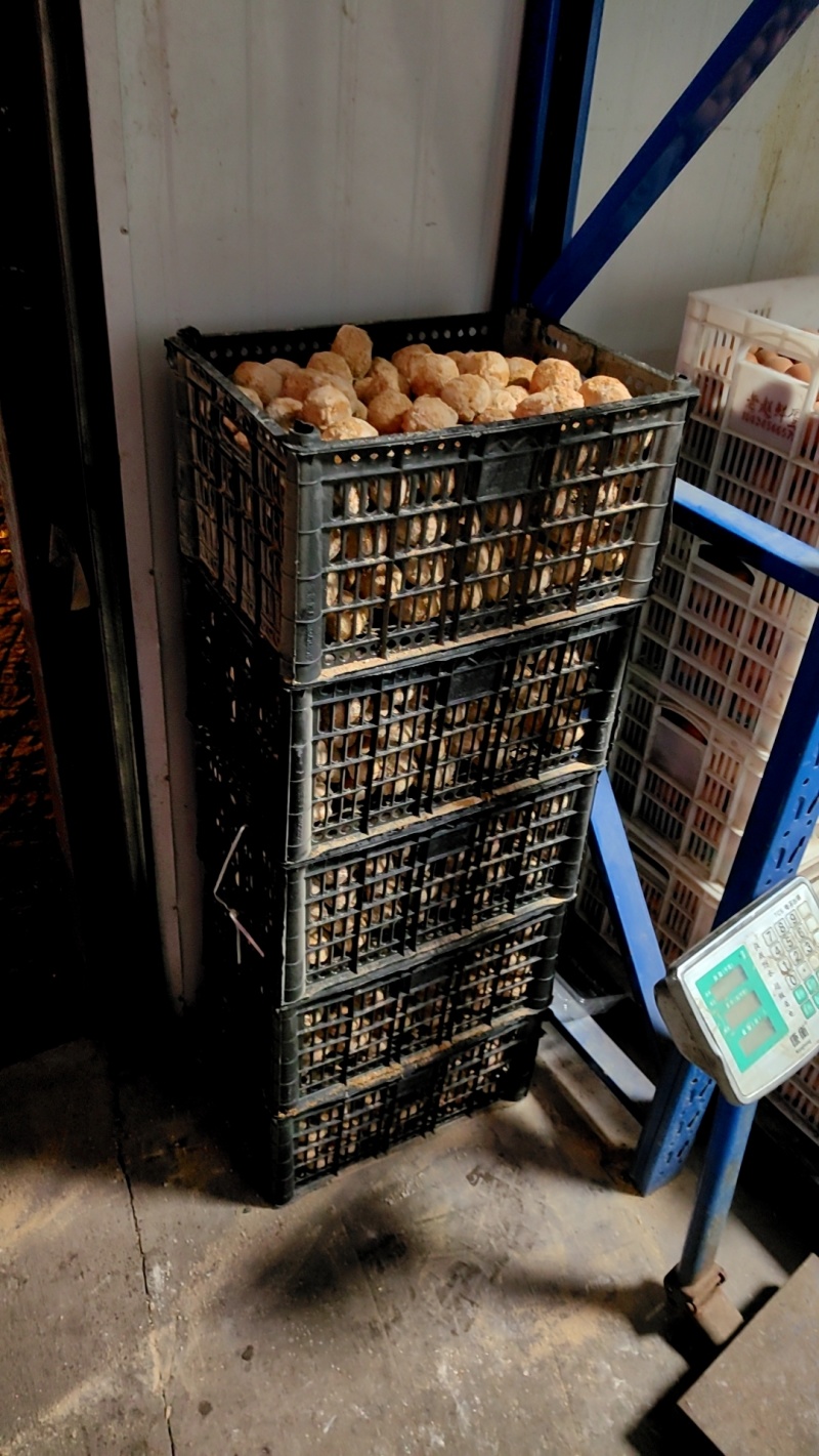 黄金糖心变蛋
