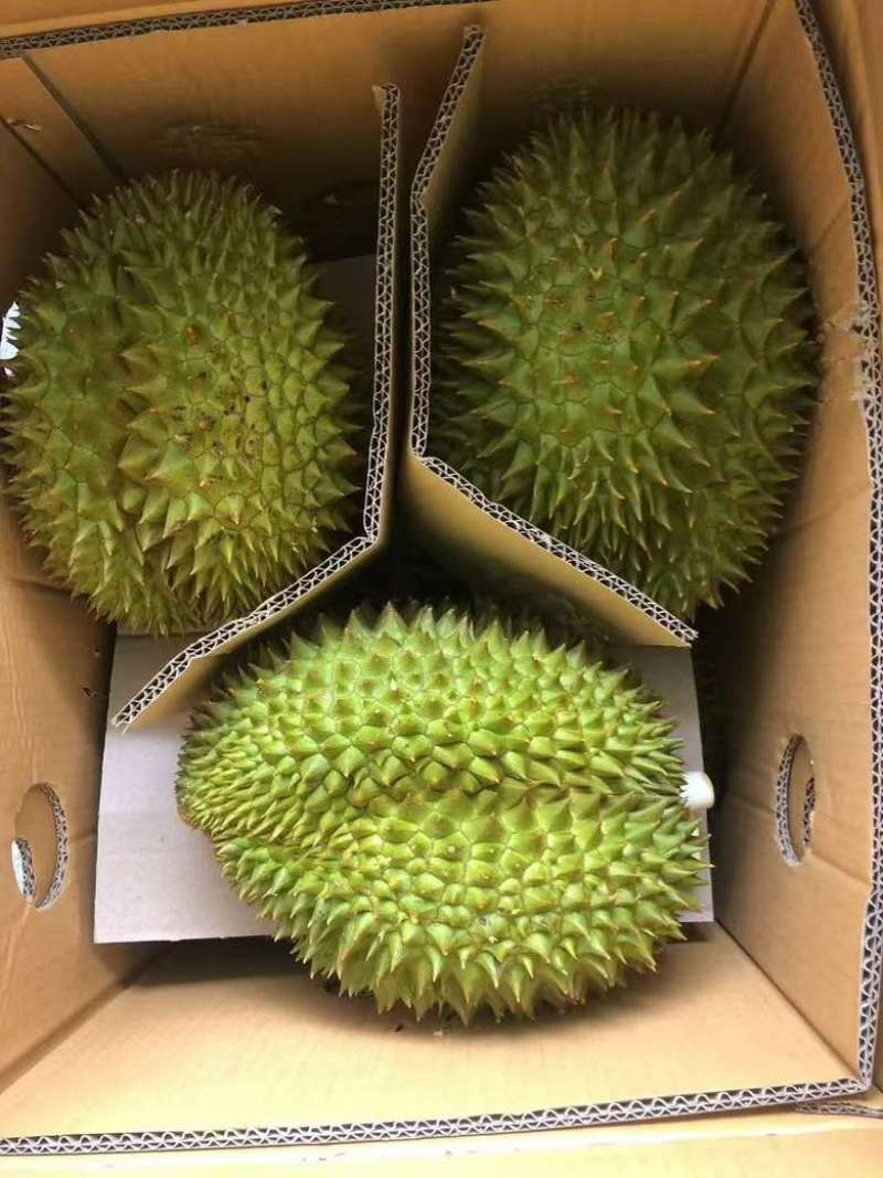 榴莲批发一件代发