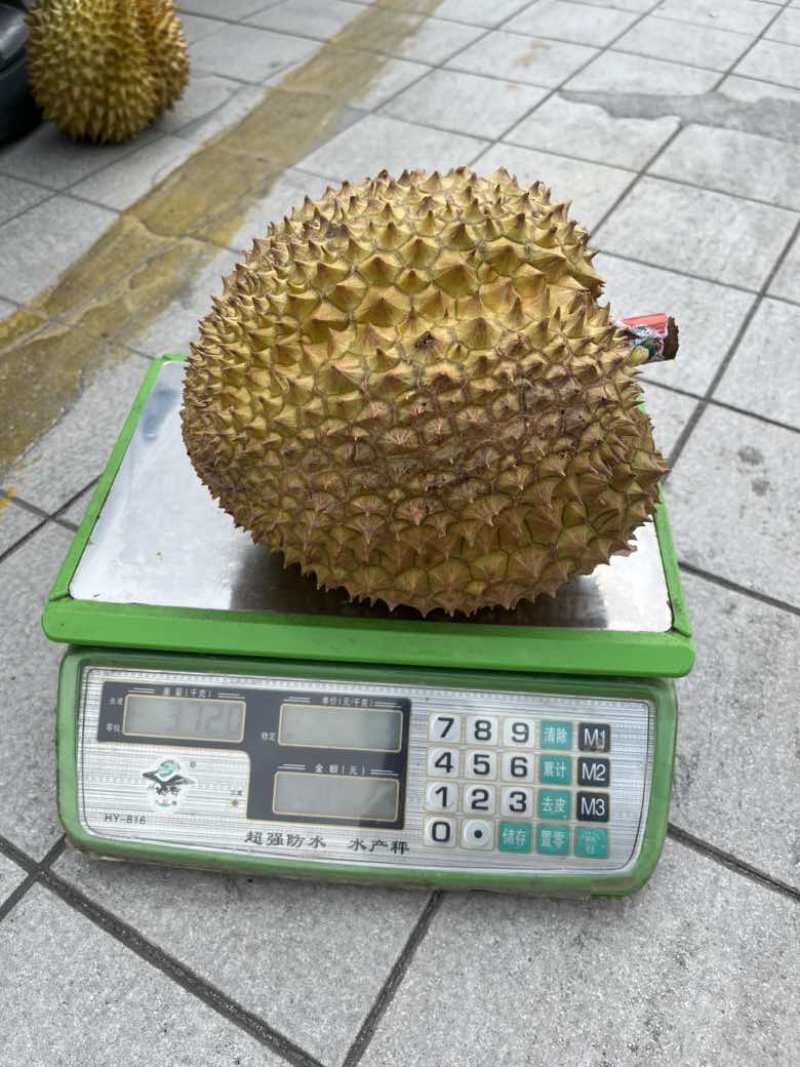 榴莲批发一件代发