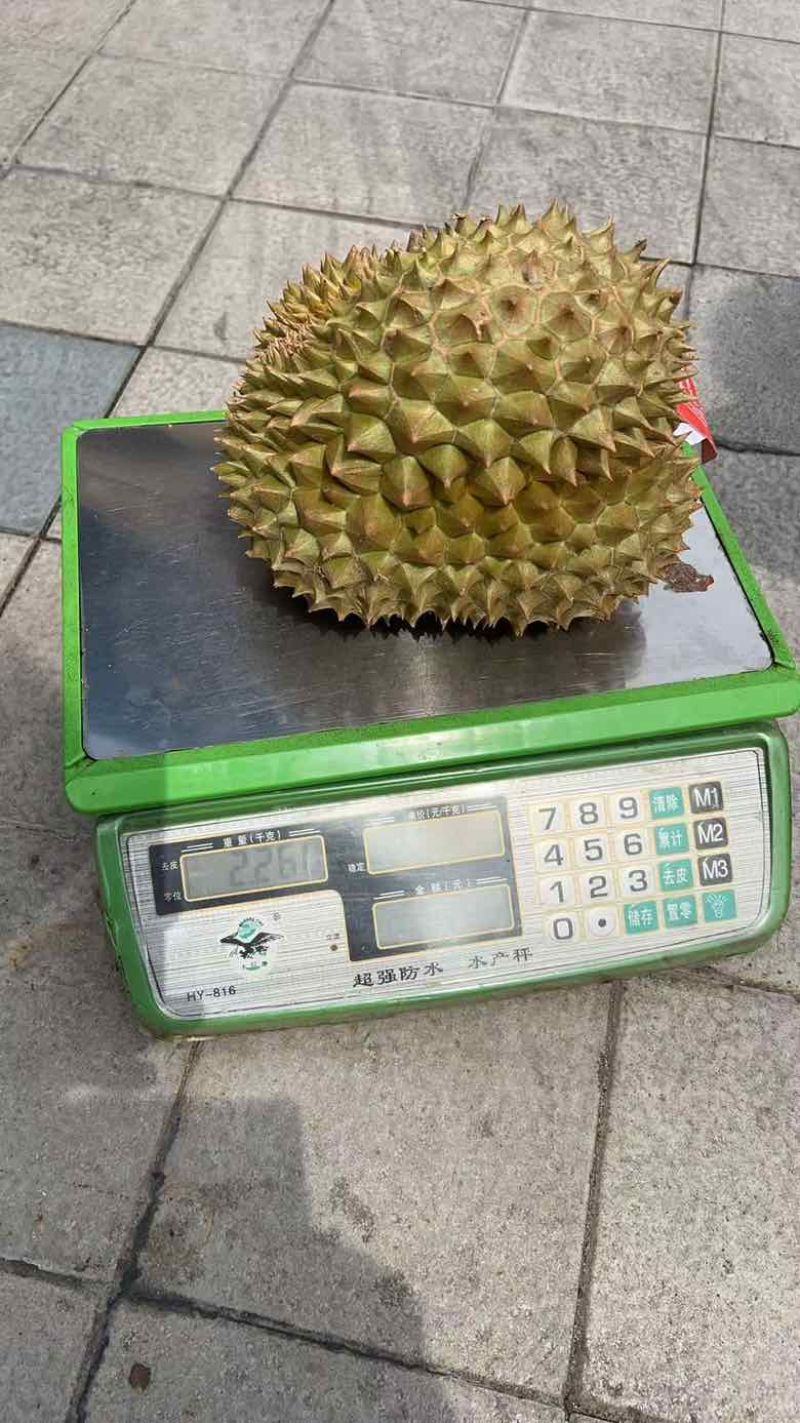 榴莲批发一件代发
