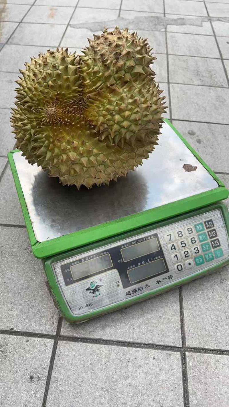 榴莲批发一件代发