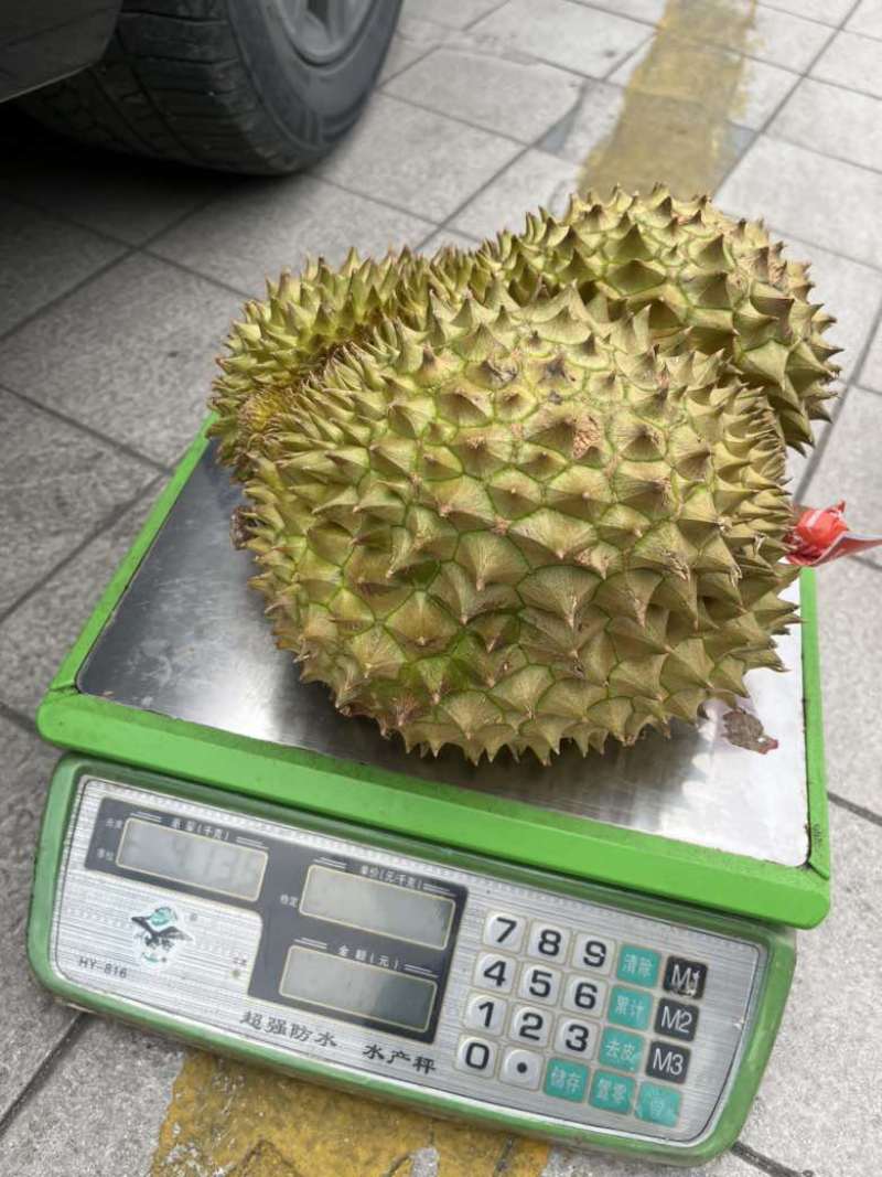 榴莲批发一件代发