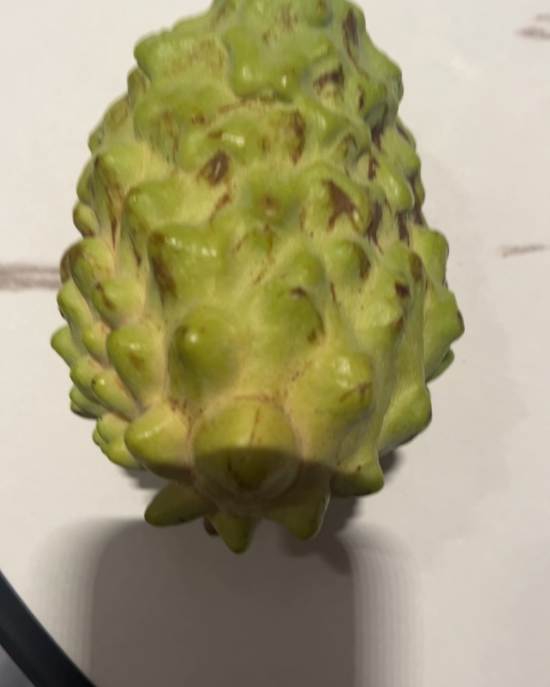 广西释迦果