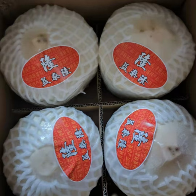 椰子有需求请联系vx***********
