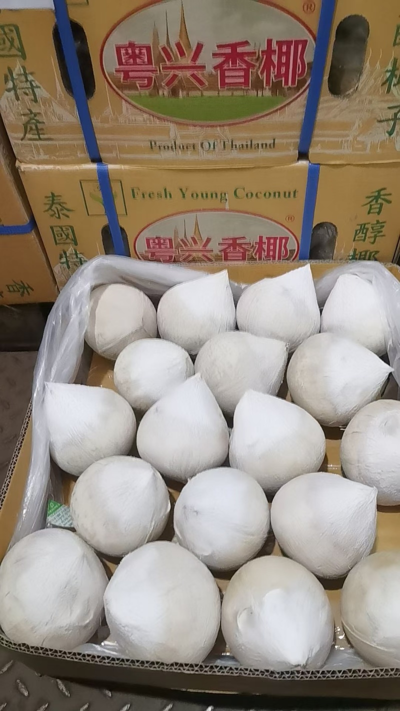 椰子有需求请联系vx***********