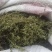 夏枯球半枝莲车前草仙鹤草石见穿鹅不食草白花