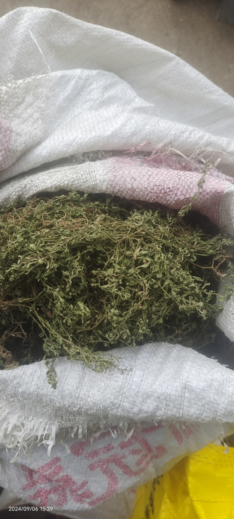 夏枯球半枝莲车前草仙鹤草石见穿鹅不食草白花
