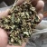 夏枯球半枝莲车前草仙鹤草石见穿鹅不食草白花