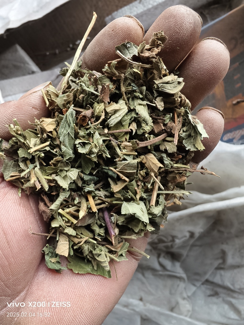 夏枯球半枝莲车前草仙鹤草石见穿鹅不食草白花