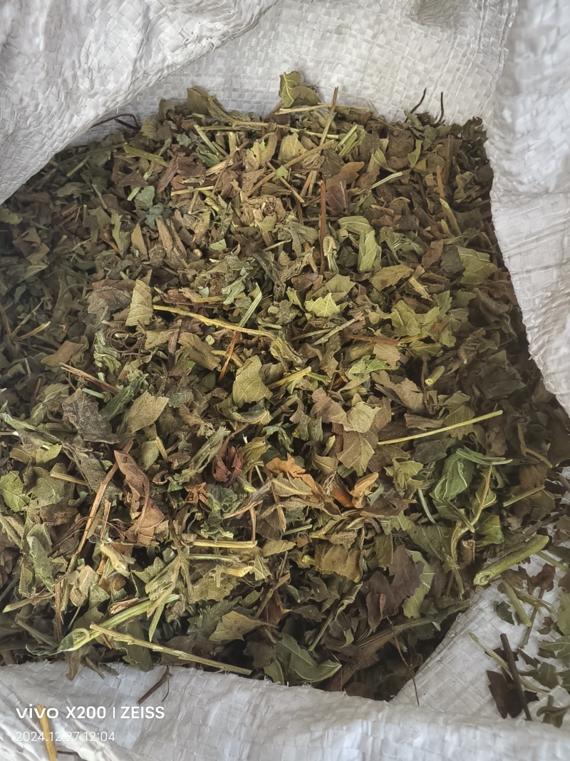夏枯球半枝莲车前草仙鹤草石见穿鹅不食草白花