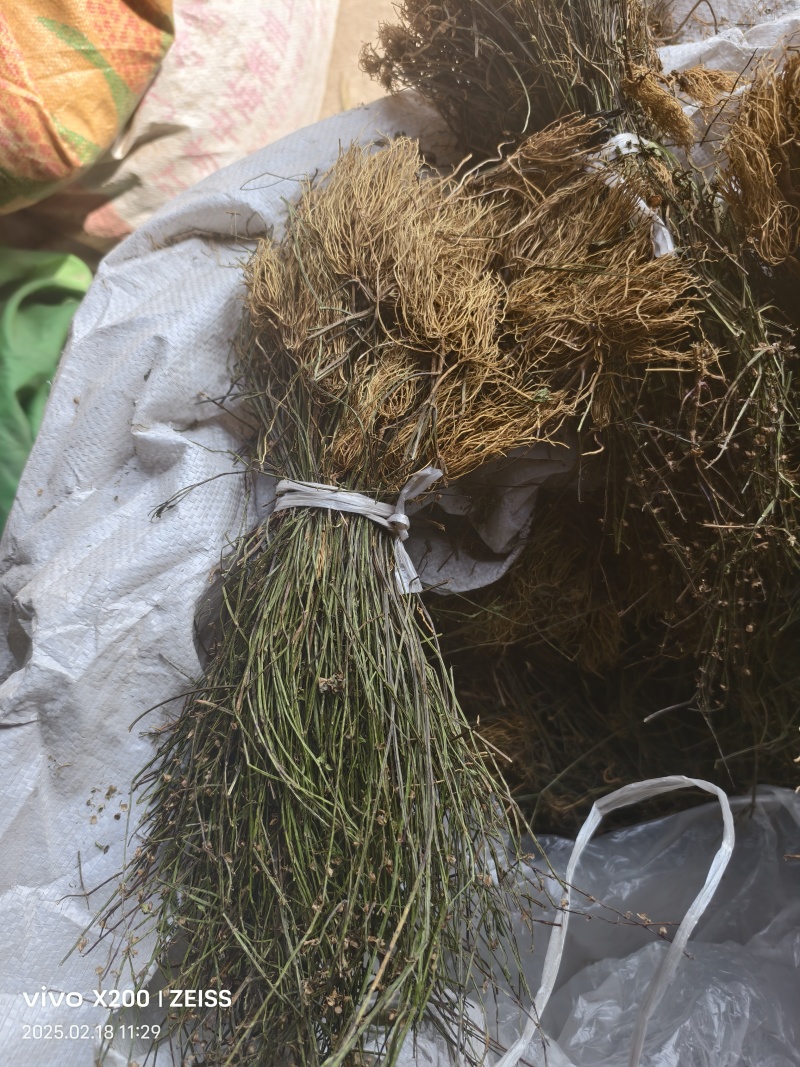 夏枯球半枝莲车前草仙鹤草石见穿鹅不食草白花