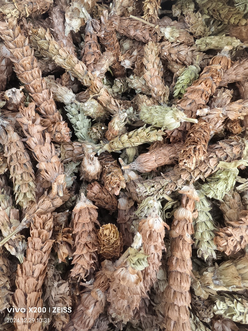 夏枯球半枝莲车前草仙鹤草石见穿鹅不食草白花
