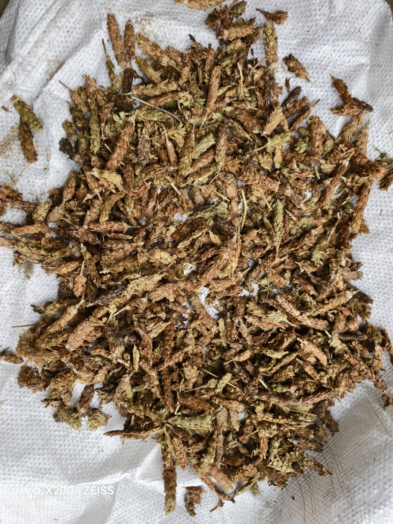 夏枯球半枝莲车前草仙鹤草石见穿鹅不食草白花