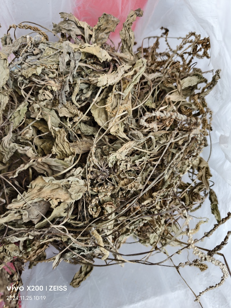夏枯球半枝莲车前草仙鹤草石见穿鹅不食草白花